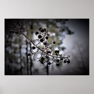 Poster Gel hivernal,