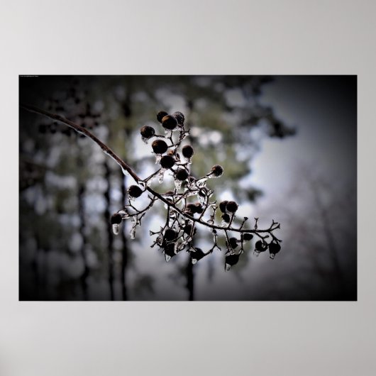 Poster Gel hivernal, (Devant)