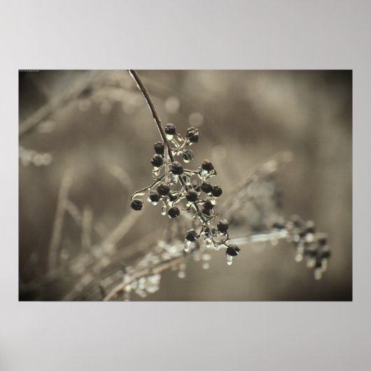 Poster Gel hivernal, (Devant)