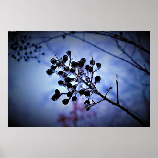 Poster Gel hivernal, (Devant)