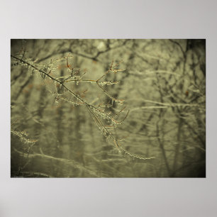 Poster Gel hivernal,