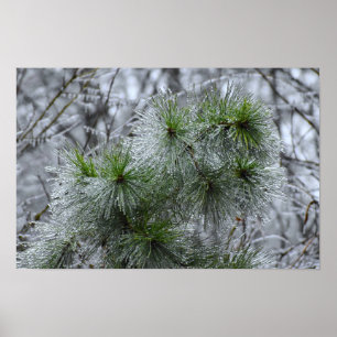 Poster Gel hivernal,