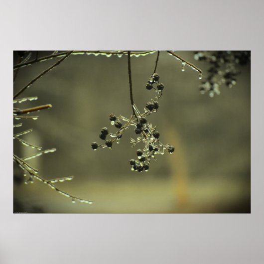 Poster Gel hivernal, (Devant)