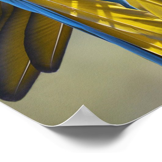 Poster Gelbbrustara macaw sur perche (Coin)