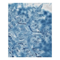 Gelée Cristal de glace Flocon de neige fractal