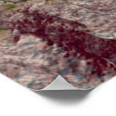 Poster Gemini (Coin)