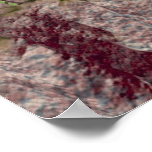 Poster Gemini (Coin)