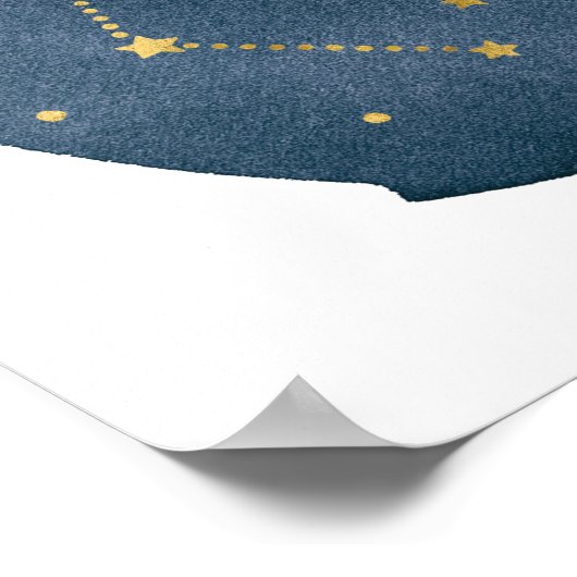 Poster Gemini (Coin)