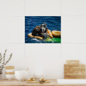 Poster Gemini 11 Splashdown & Recovery (Cuisine)