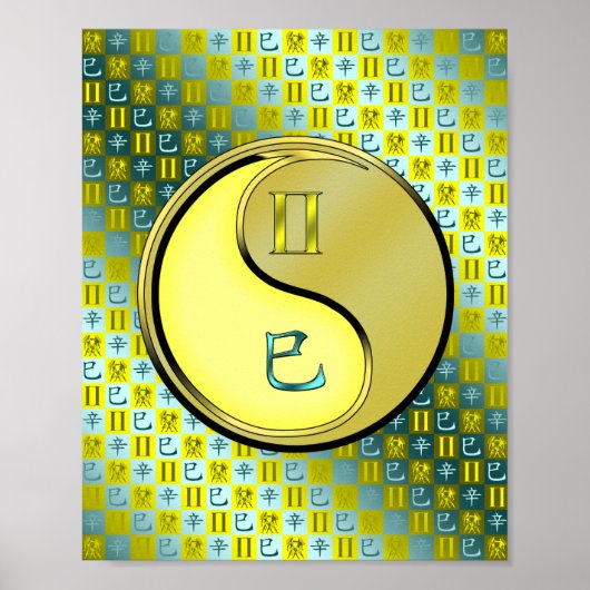 Poster Gemini et serpent métallique (Devant)