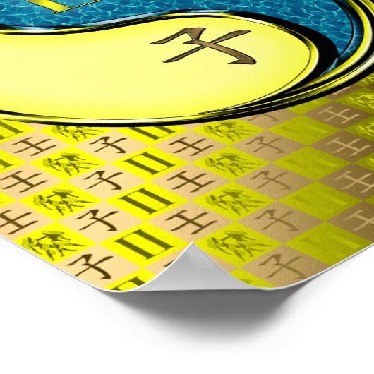 Poster Gemini & Rat d'eau (Coin)