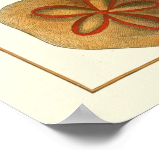 Poster Gemmes Dollars De Sable (Coin)