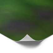 Poster Gemmes d'un matin de printemps Imprimer (Coin)