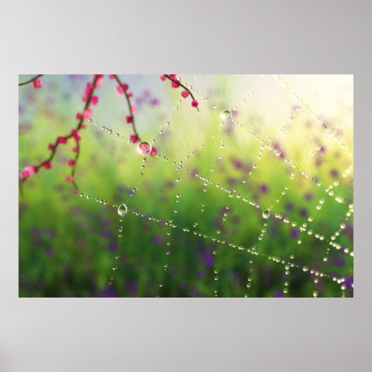 Poster Gemmes d'un matin de printemps Imprimer (Devant)