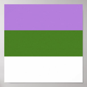 POSTER GENDERQUEER PRIME