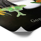 Poster Gene Stratton Porter Portrait Peinture numérique (Coin)