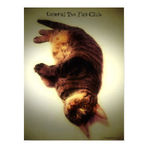 Poster - Generaal Tso Fan Club