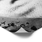 Poster Général A.P. Hill (Coin)