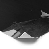 Poster Général Eisenhower (Coin)