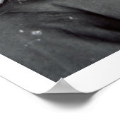 Poster Général George Crook (photo b/w) (Coin)