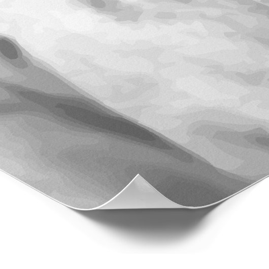 Poster Général Omar Bradley (Coin)