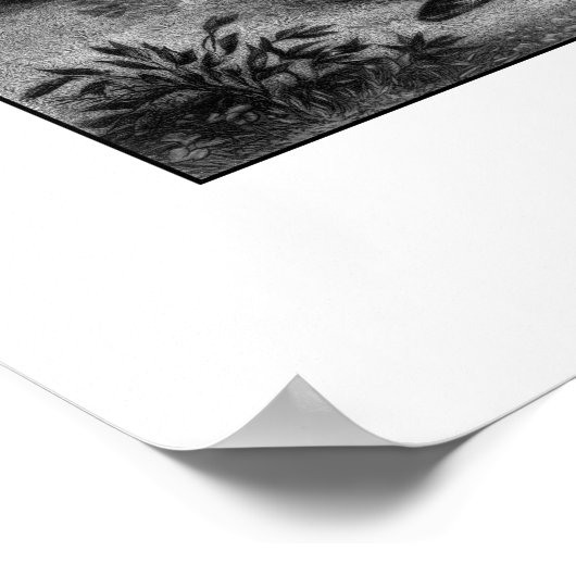 Poster Général Robert E. Lee (Coin)