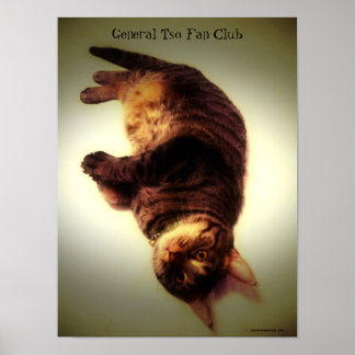 Poster - General Tso Fan Club