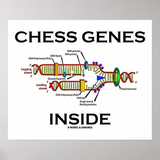 Poster Gènes d'échecs à l'intérieur (réplication de l'ADN (Devant)