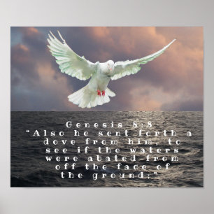 POSTER GENESIS 8:8