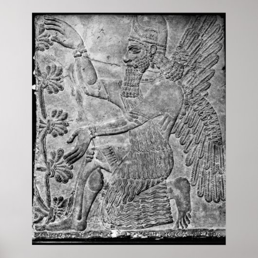 Poster Génie ailé vénérer l'arbre sacré (Devant)