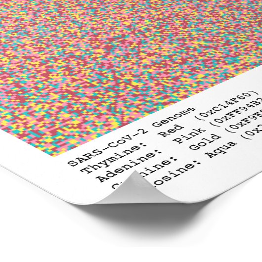 Poster Génome COVID-19 (Coin)