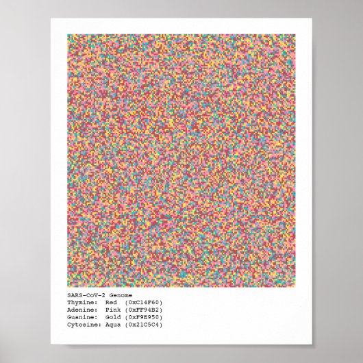 Poster Génome COVID-19 (Devant)