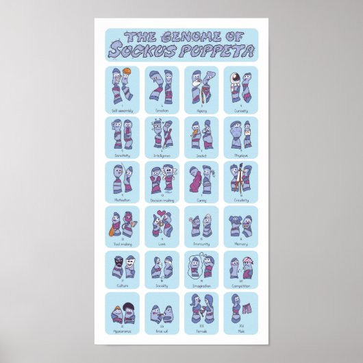 Poster Génome d'une marionnette à queue (Devant)