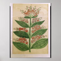 Gentian avec fleurs imaginaires