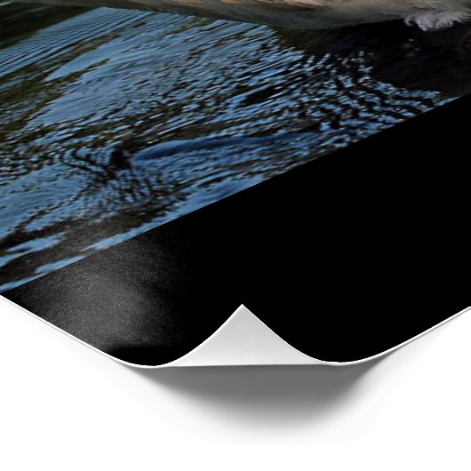 Poster Gentillesse (Coin)