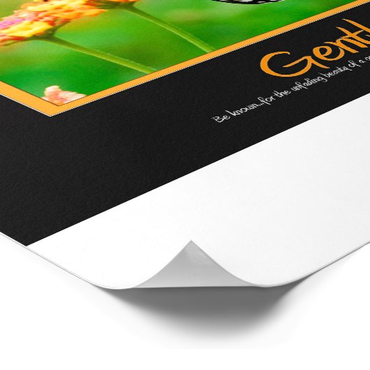 Poster Gentleness (Coin)