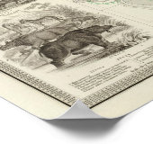 Poster Géographie zoologique (Coin)