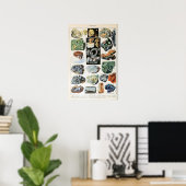 Poster Géologie des roches minérales vintages (Bureau à domicile)