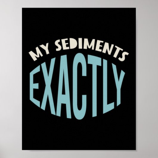 Poster Géologie Pun Mes Sédiments Exactement (Devant)