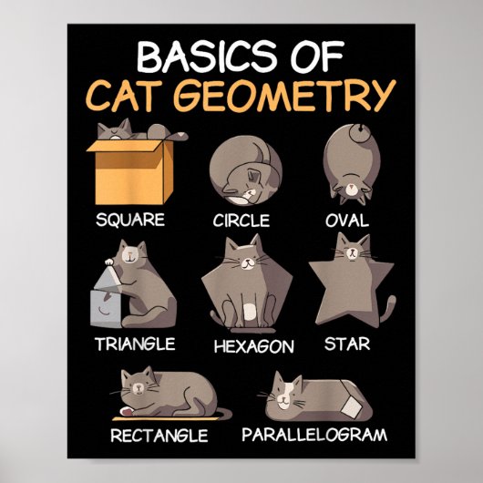 Poster Géométrie Chat Math Drôle Cadeaux Chat Pour Chat P (Devant)