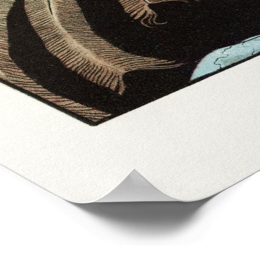 Poster George Barbier (Coin)