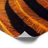 POSTER GEORGE BARBIER (Coin)