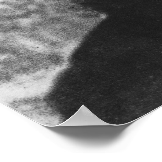 Poster George Bernard Shaw (Coin)