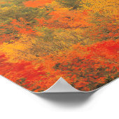 Poster George Bernard Shaw Citation inspirante "Changemen (Coin)