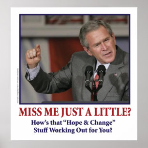 Poster George Bush/Miss Me Just a Little ?