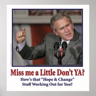 Poster George Bush/Miss Me Just a Little ?