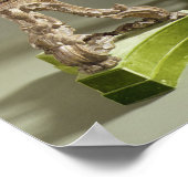 Poster George II chinoiserie torcheres, vers 1750 (Coin)