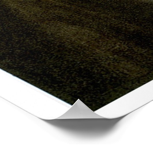 Poster George Lowrey par George Catlin (Coin)