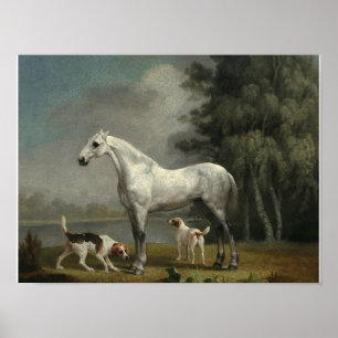 Poster George Stubbs - Un chasseur gris pomme