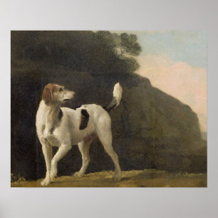 Poster George Stubbs un fox-hound, c.1760 (huile sur